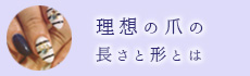 理想の爪の長さと形とは